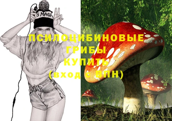 соль курить ск Алзамай