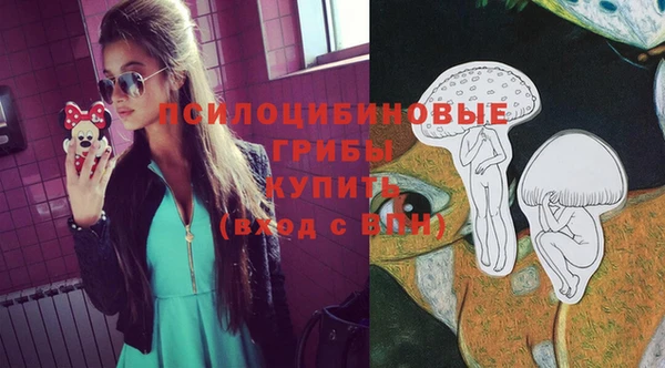 соль курить ск Алзамай
