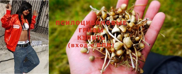 соль курить ск Алзамай